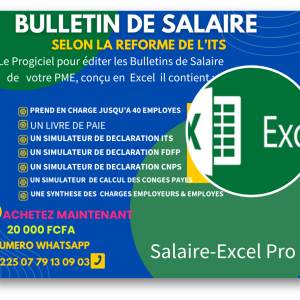 Salaire-Excel Pro