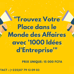 "Afrique en Action: 1000 Idées d'entreprise pour Entreprendre et Innover